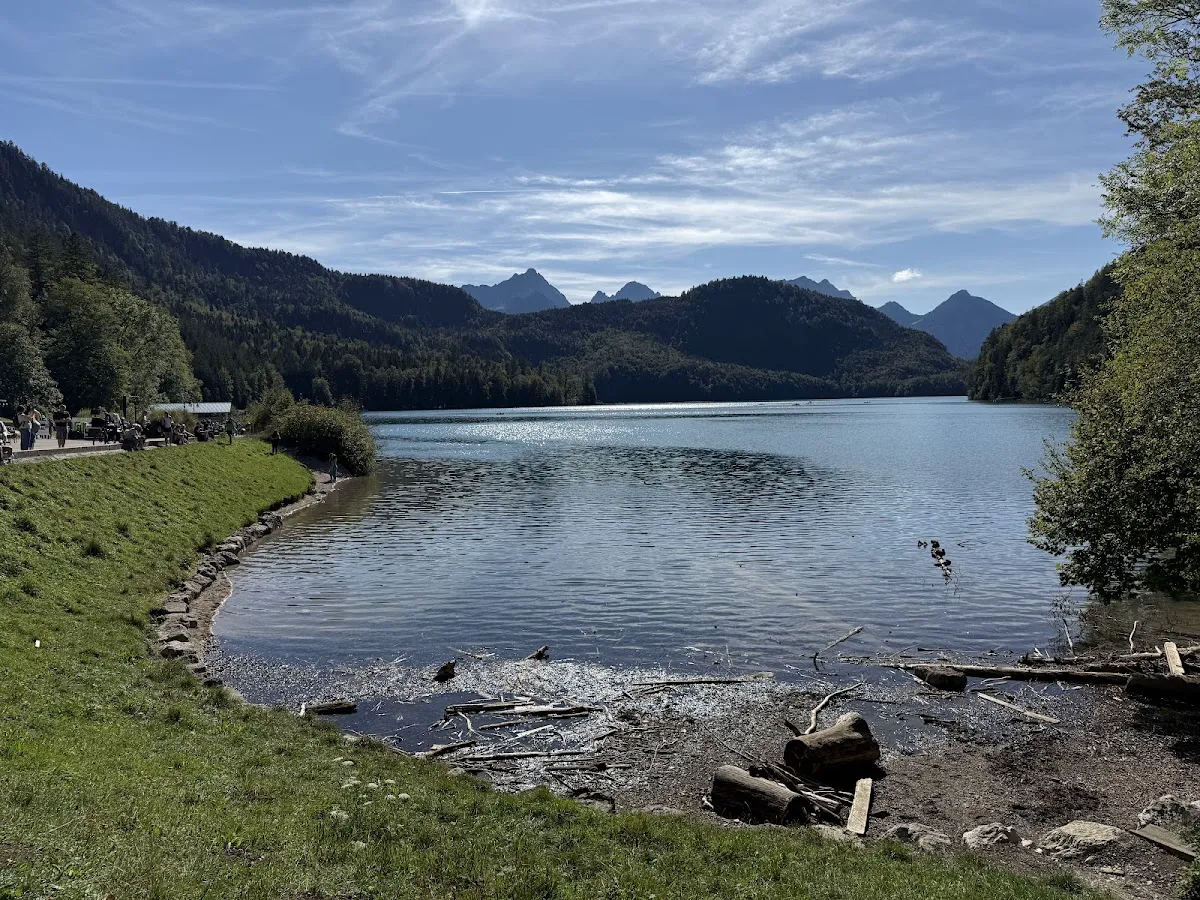 Root-covered south shore trail with dappled forest light