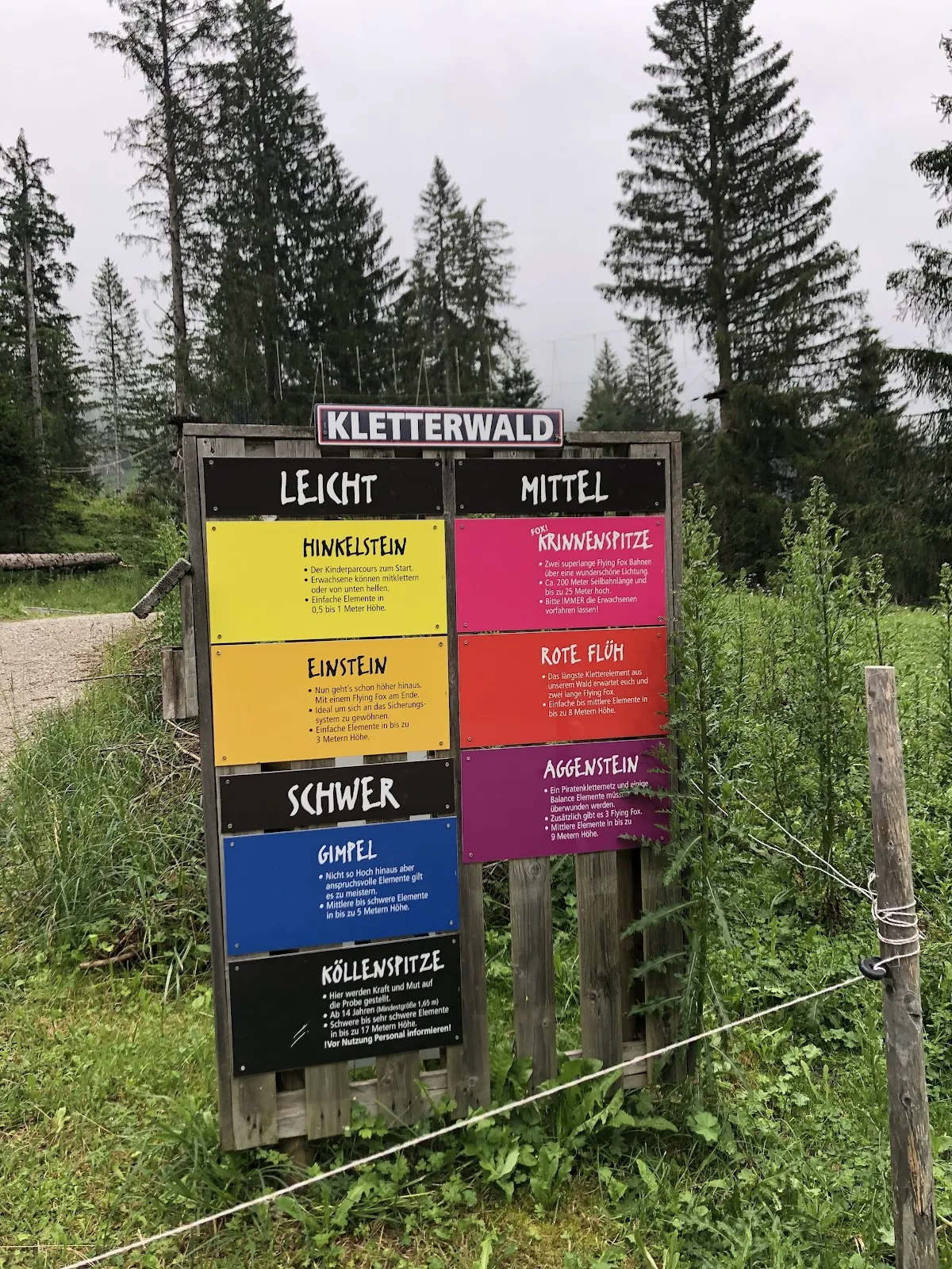 Climber navigating high ropes obstacle in the spruce forest