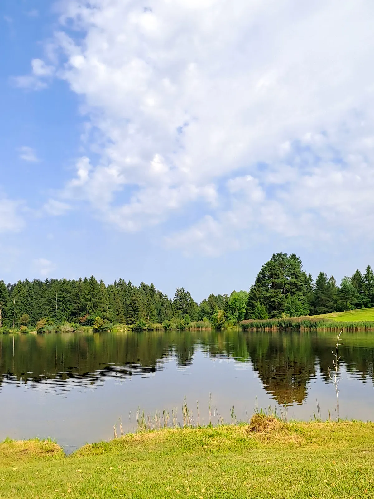 Burgruine Hopfen medieval castle ruins overlooking turquoise Hopfensee with Alps behind