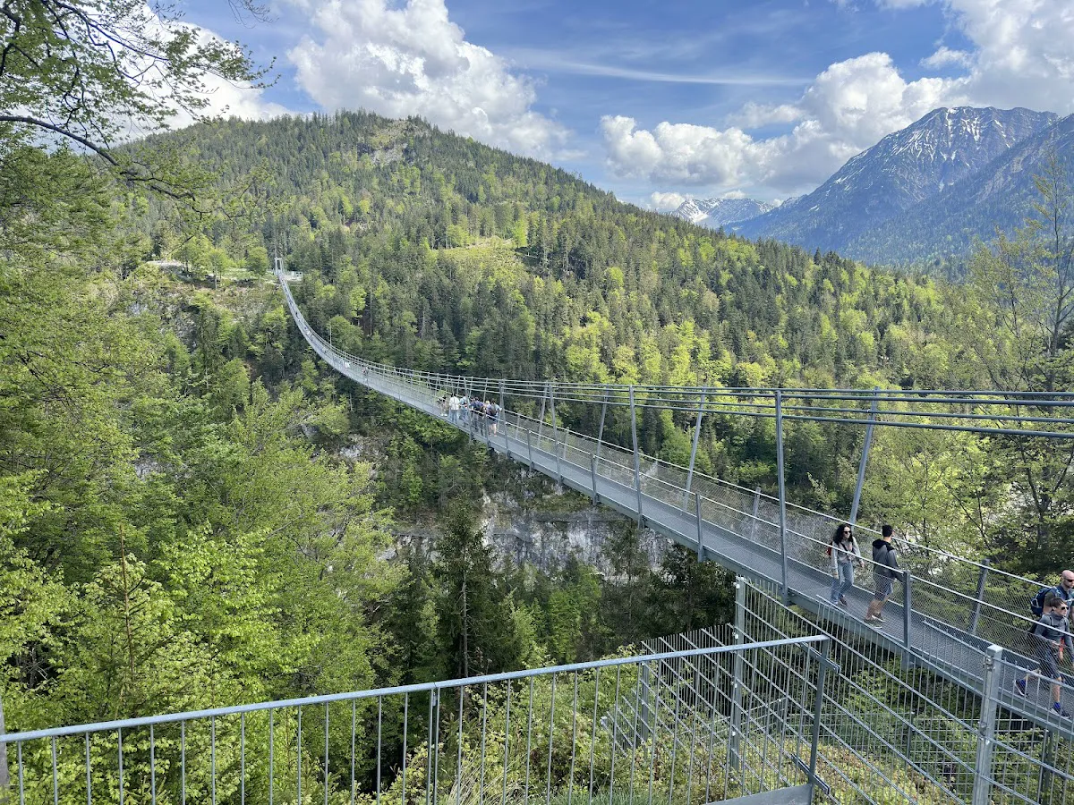 View of the Highline179 bridge connecting Ehrenberg Castle ruins