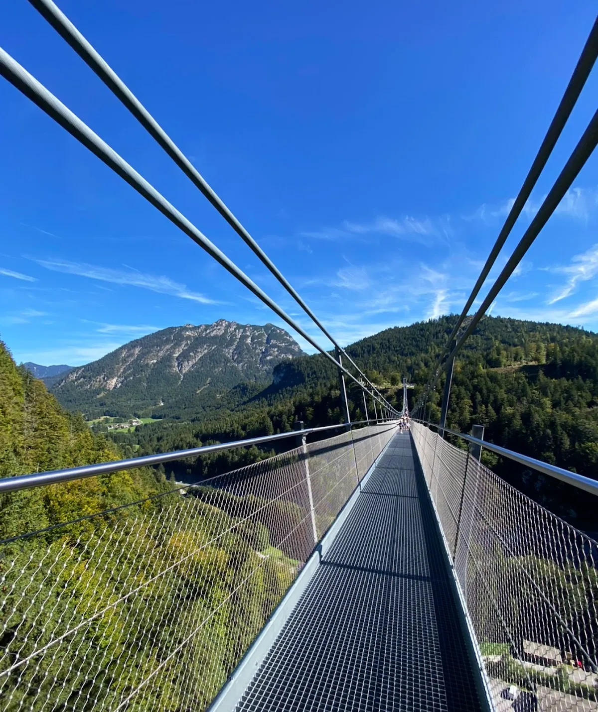 Highline179 Suspension Bridge
