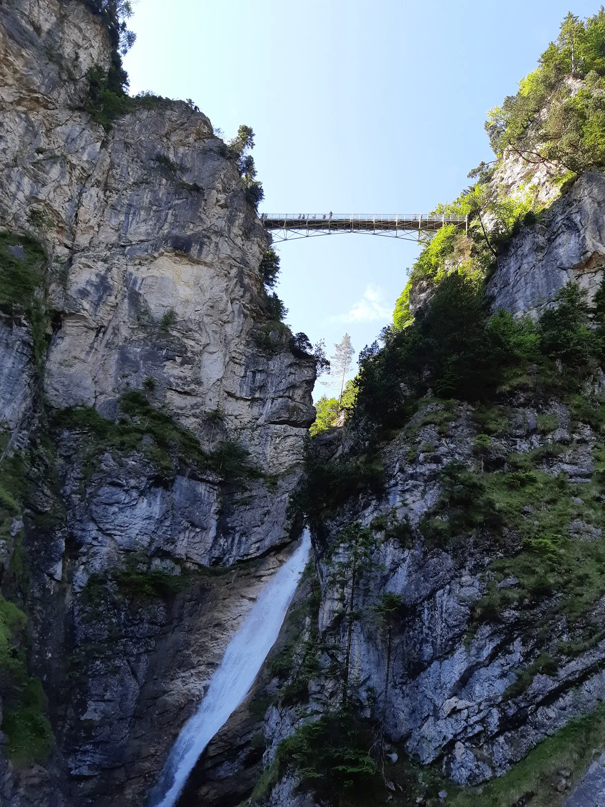 Paragliders launching from Tegelberg summit with Alps panorama behind
