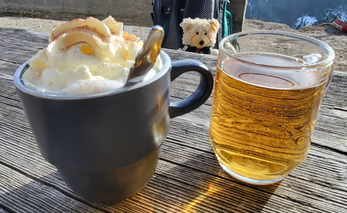 Panoramic winter view from Kappeler Alm over Vilstal and Tannheimer mountains