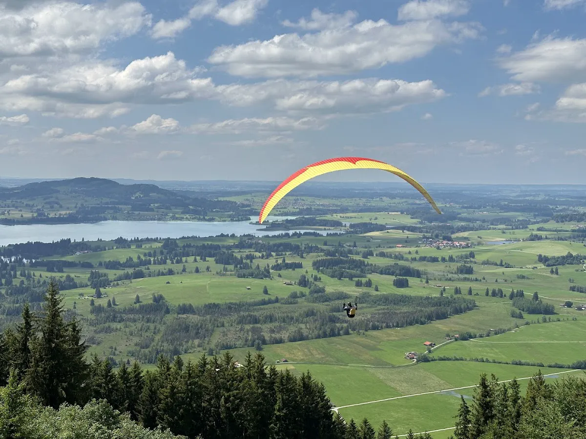 Tobogganers on Buchenberg day run with snowy Alpine panorama