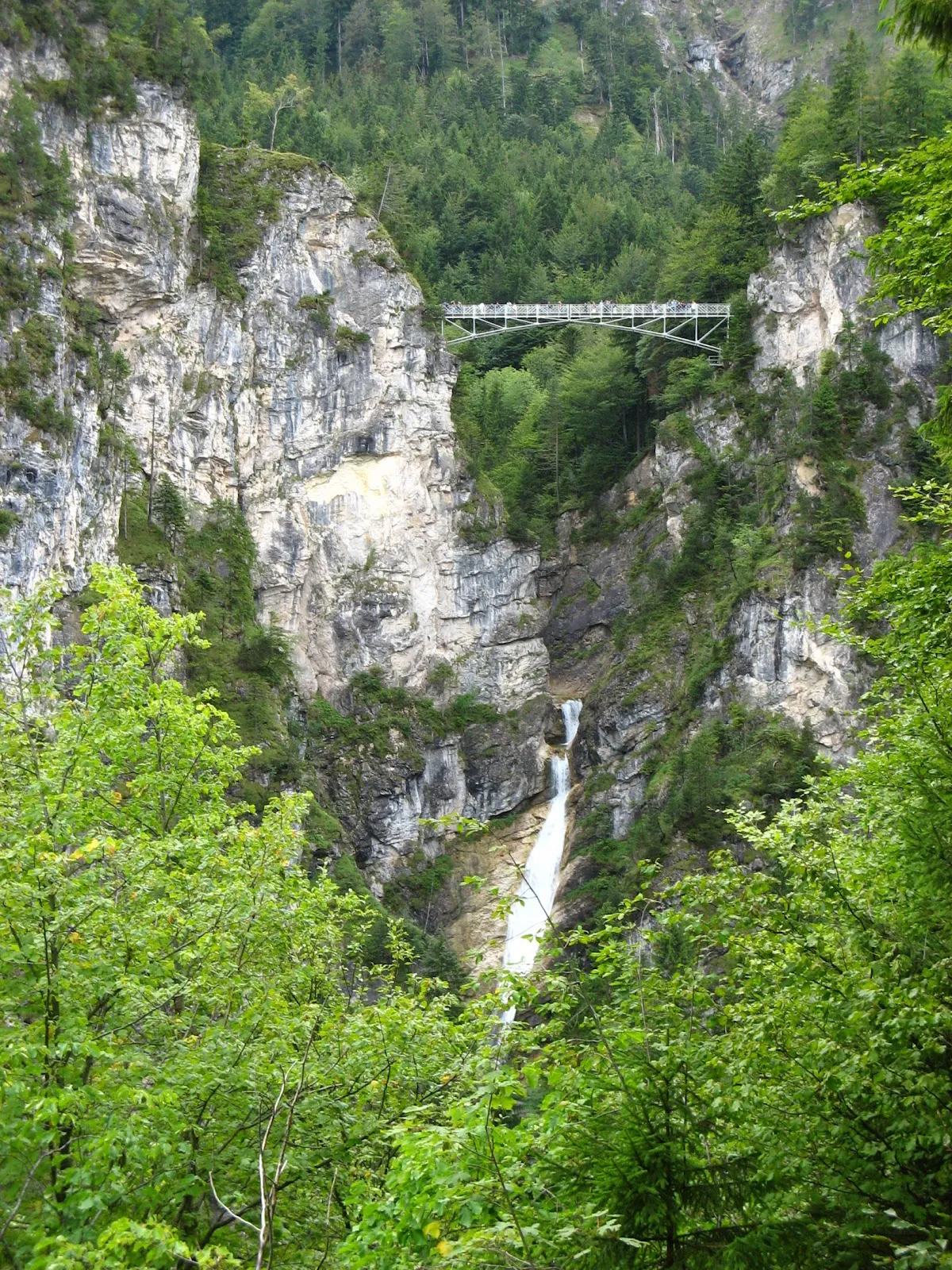 Bird's eye view of Hohenschwangau Castle and Alpsee from Wasserleitungsweg trail