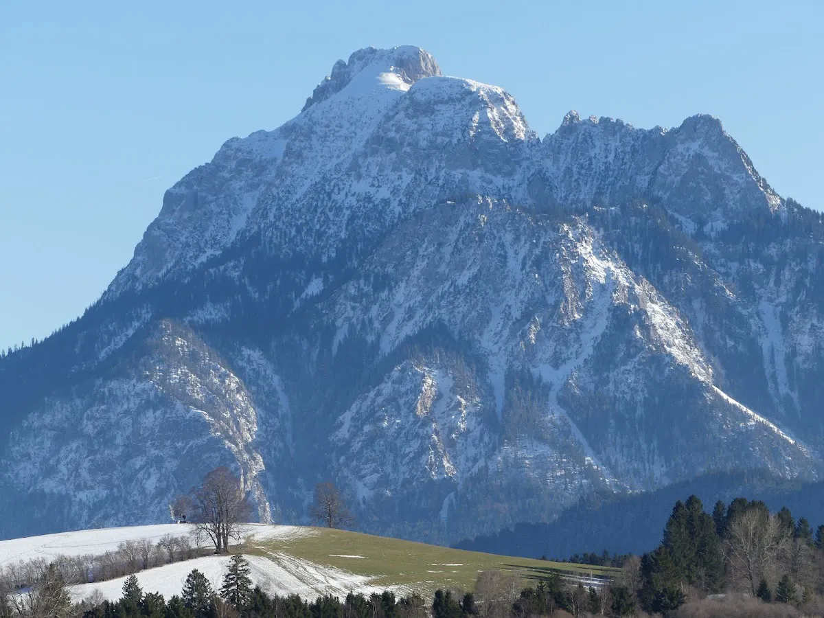 Summit view of Neuschwanstein Castle from above with Forggensee lake backdrop