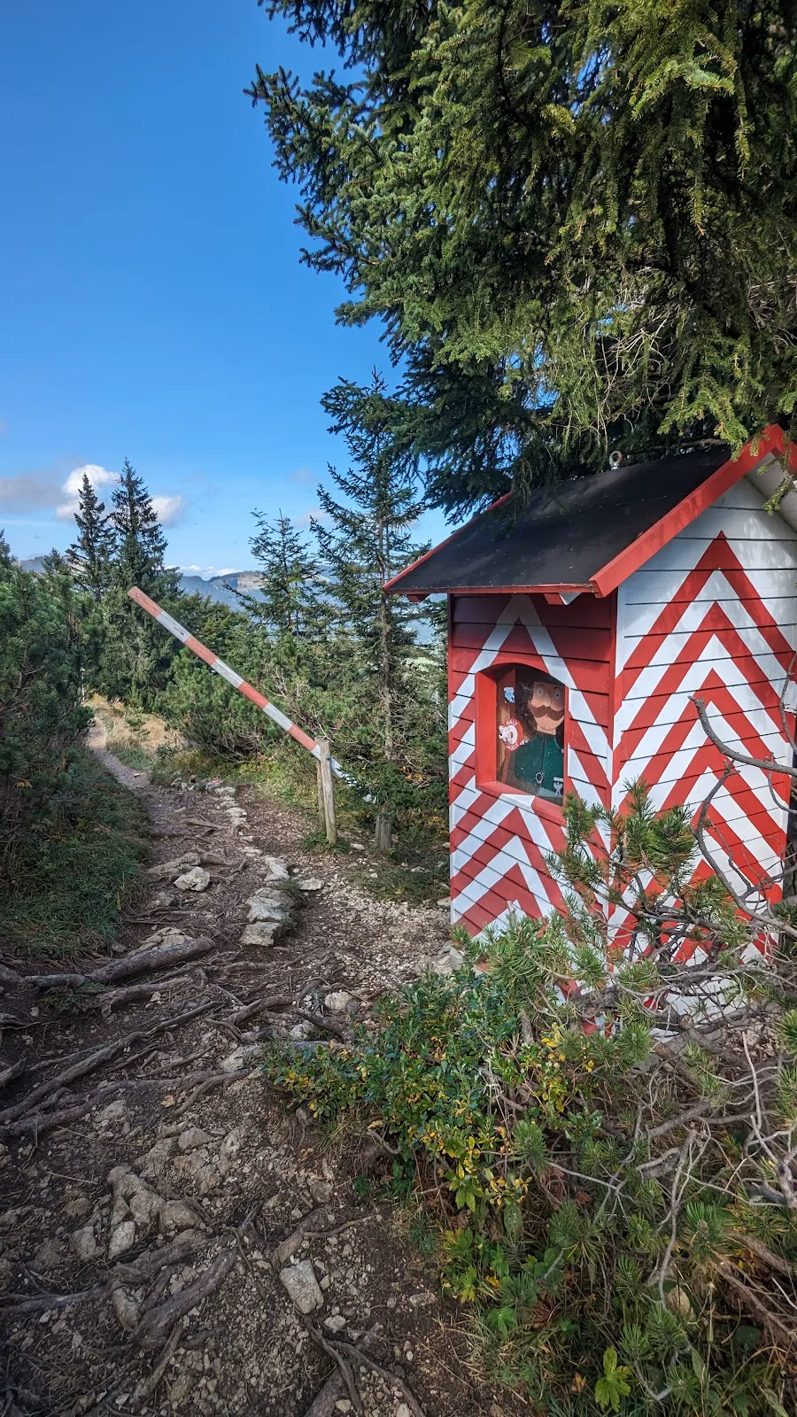 Panoramic view from Schmugglersteig ridge showing contrast between Allgäu and Tannheim peaks