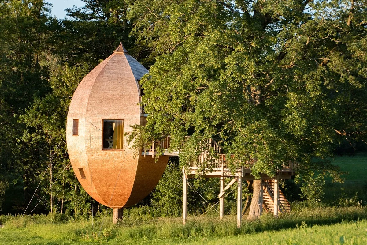 Tree Sleeping Höllschlucht
