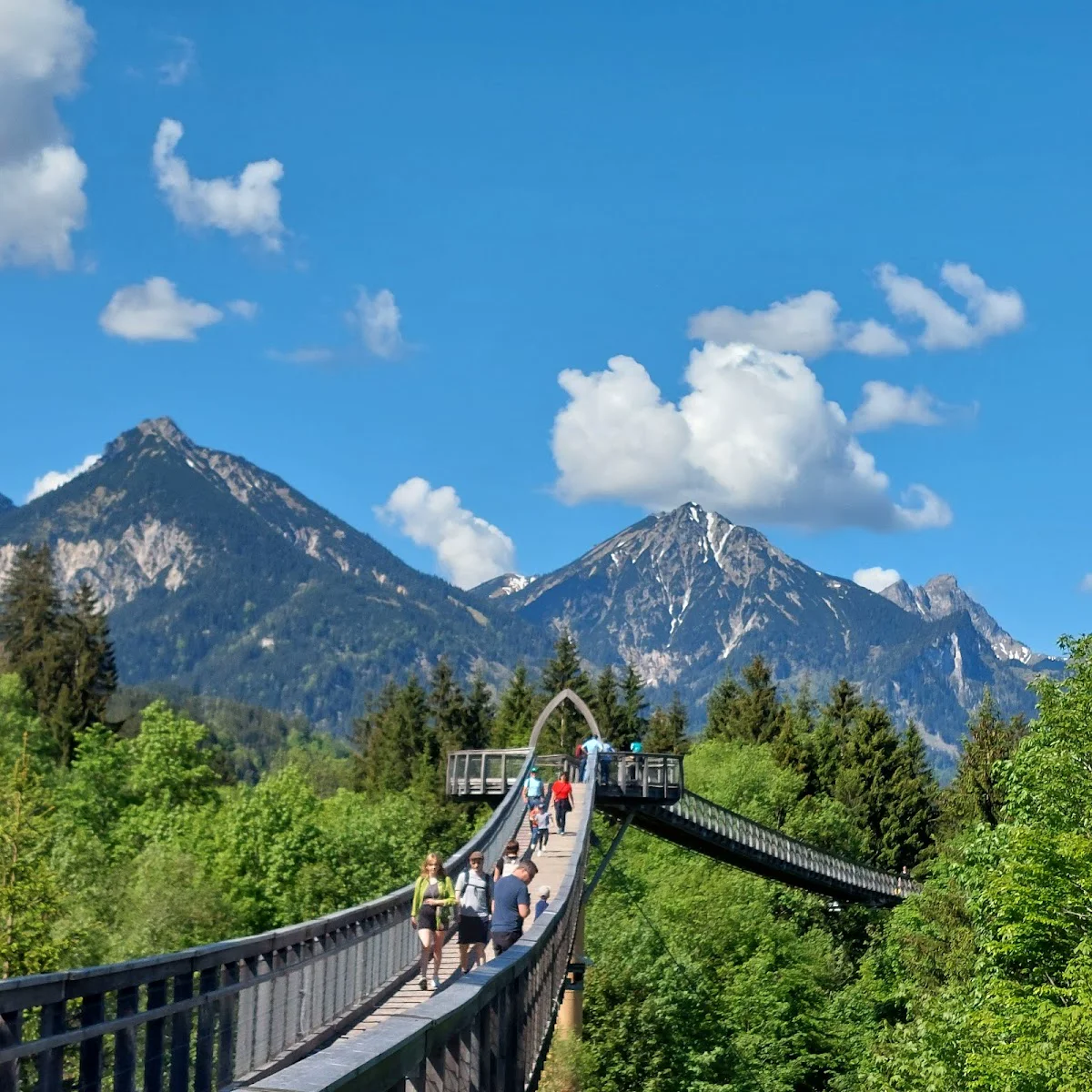 Ground-level forest trail with interactive elements